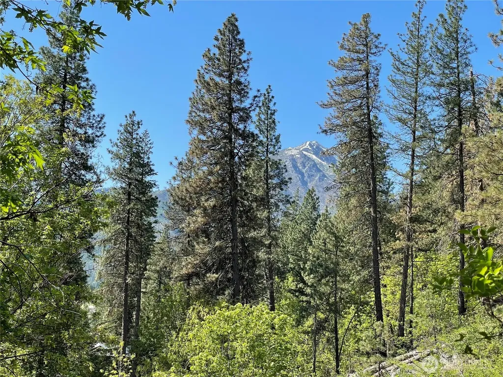 0 Icicle Road Leavenworth WA 98826