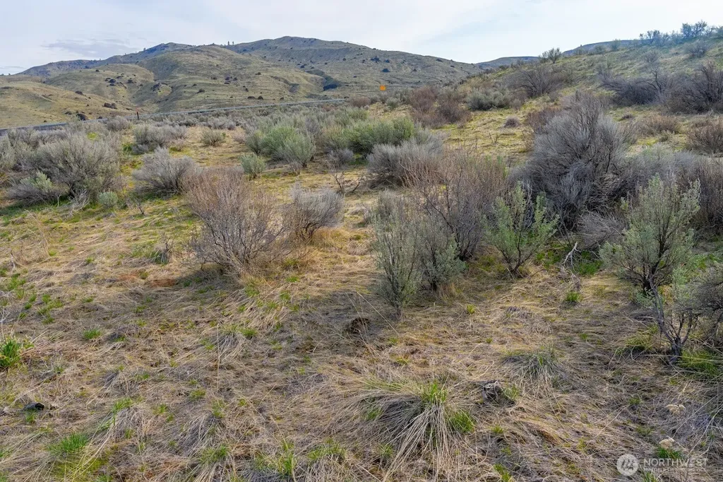 0 Parcel C Mcneil Canyon Road Orondo WA 98816