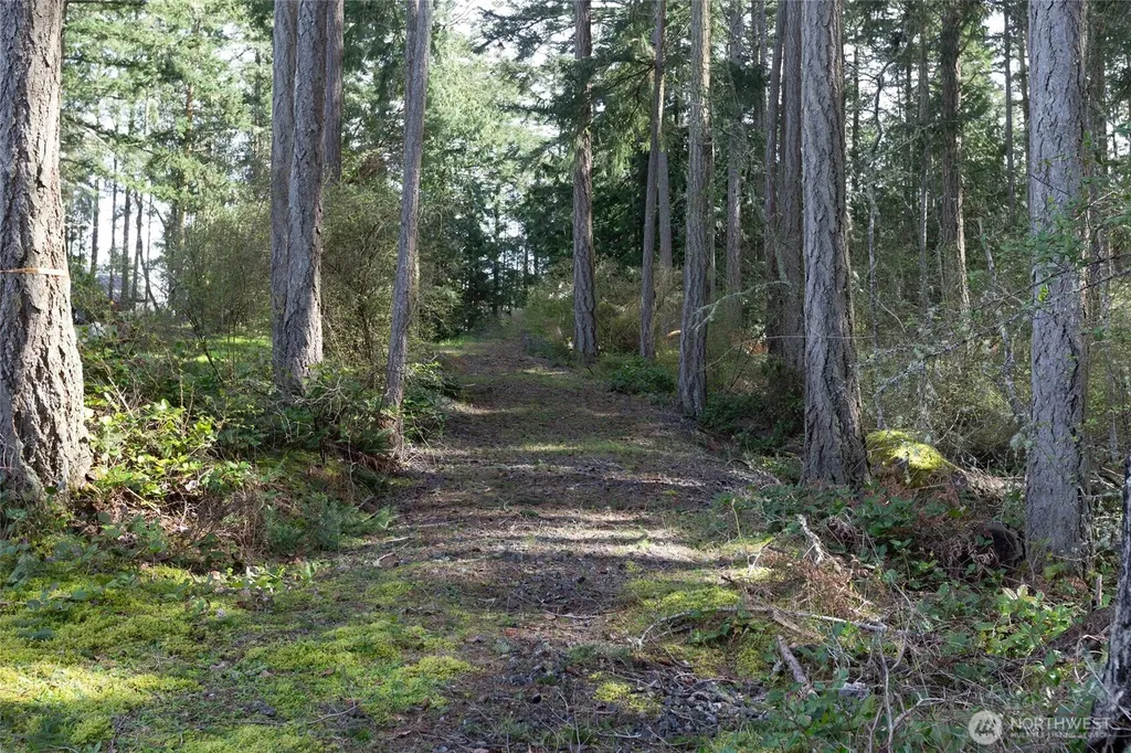 87 Conifer Lane Friday Harbor WA 98250