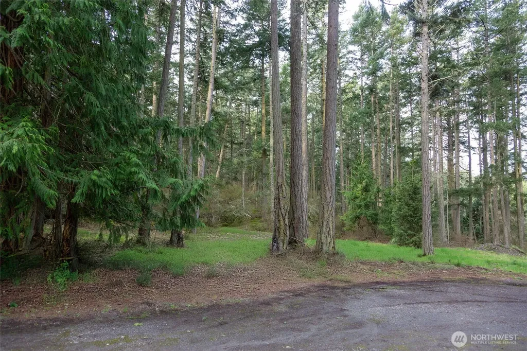 87 Conifer Lane Friday Harbor WA 98250