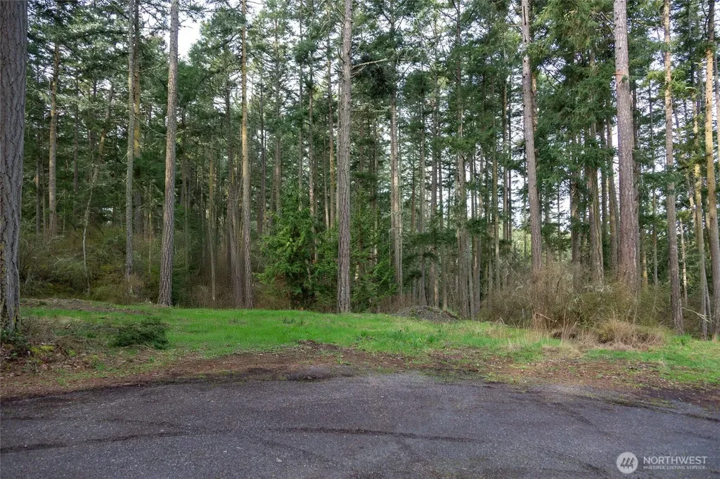 87 Conifer Lane Friday Harbor WA 98250