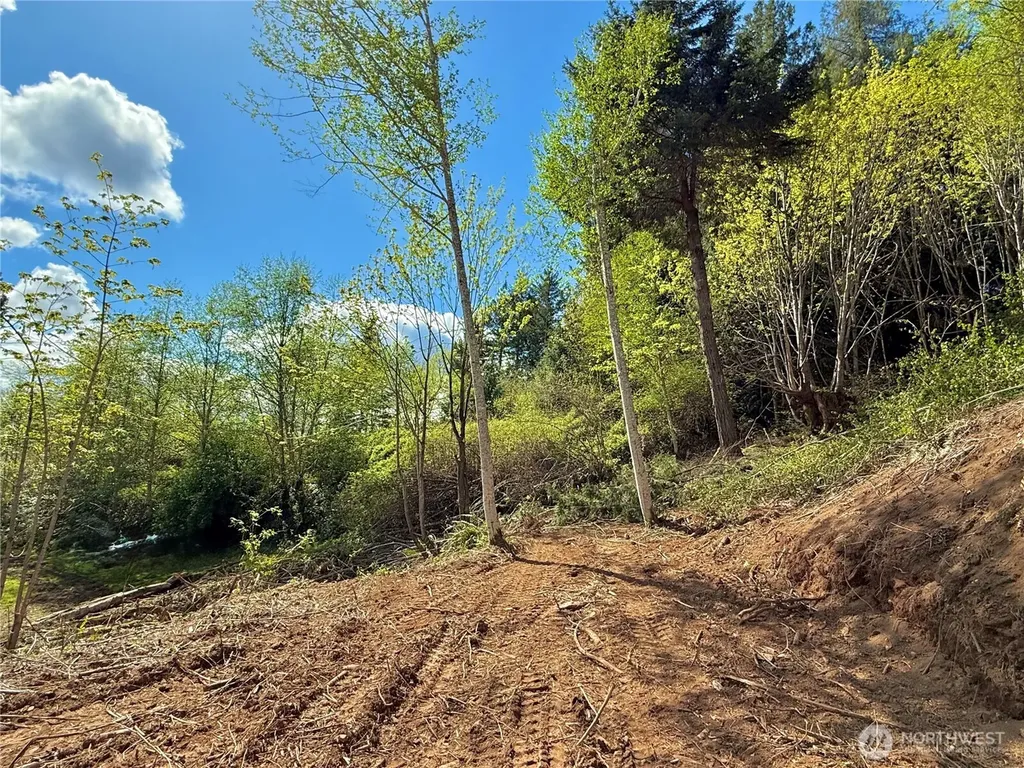 149 N Shar Lane Lilliwaup WA 98555