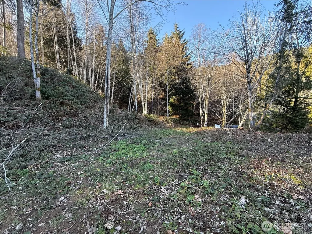 149 N Shar Lane Lilliwaup WA 98555