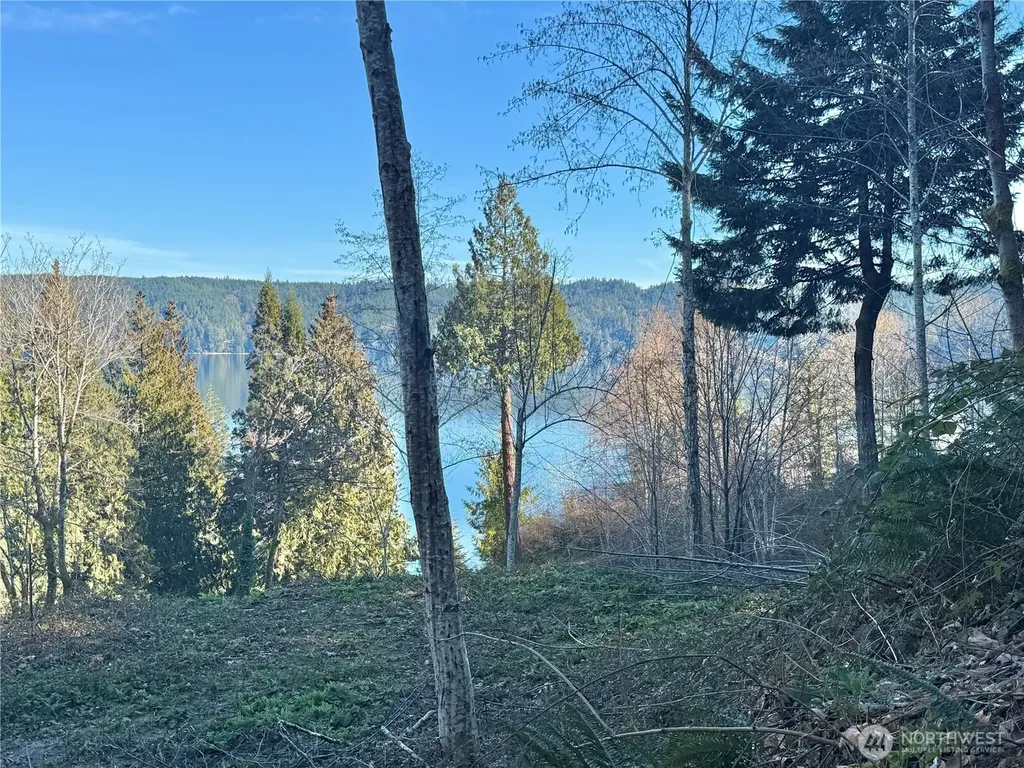149 N Shar Lane Lilliwaup WA 98555