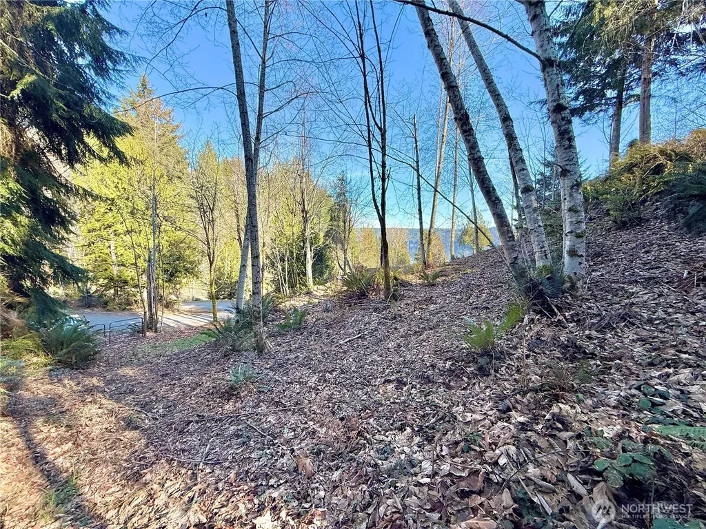 149 N Shar Lane Lilliwaup WA 98555