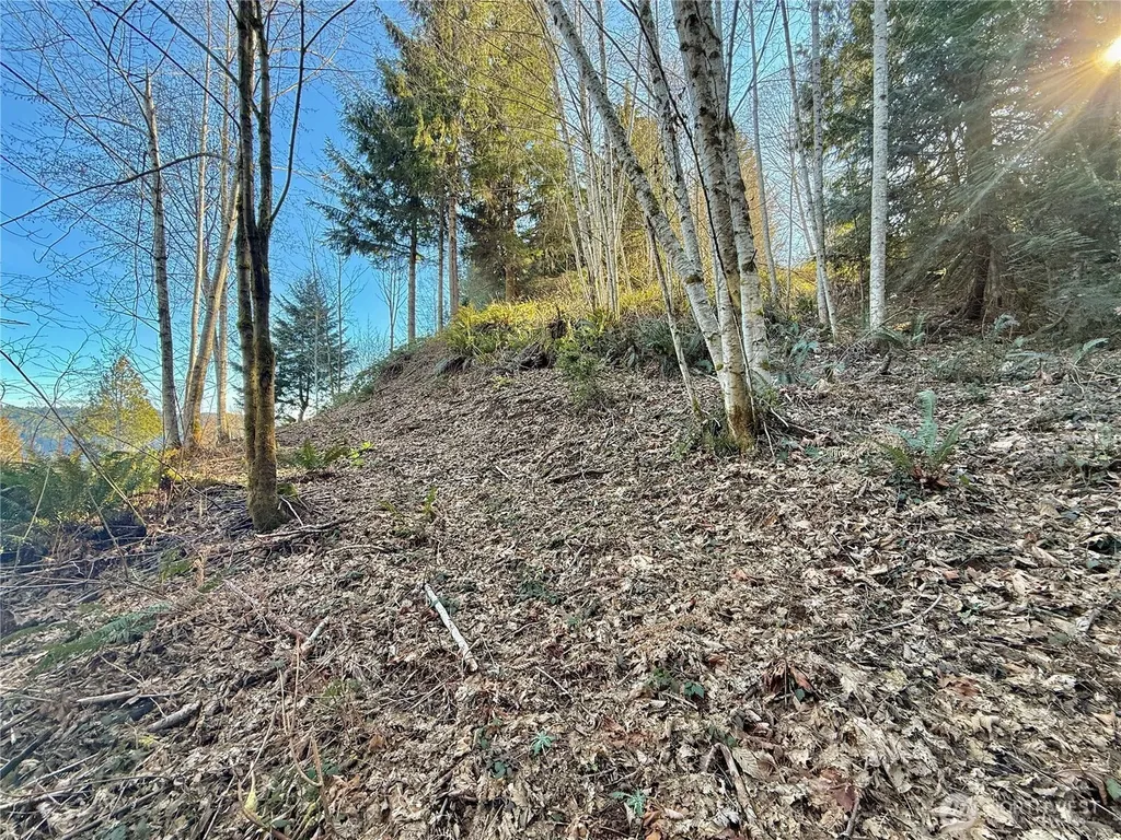 149 N Shar Lane Lilliwaup WA 98555