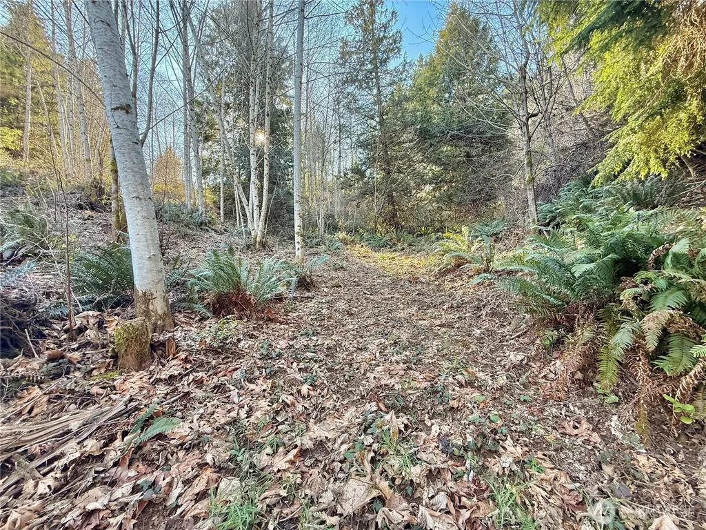 149 N Shar Lane Lilliwaup WA 98555