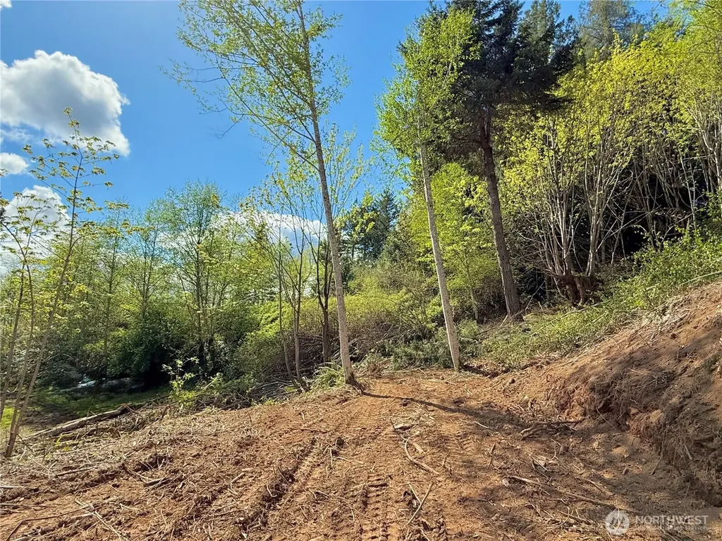 145 N Shar Lane Lilliwaup WA 98555