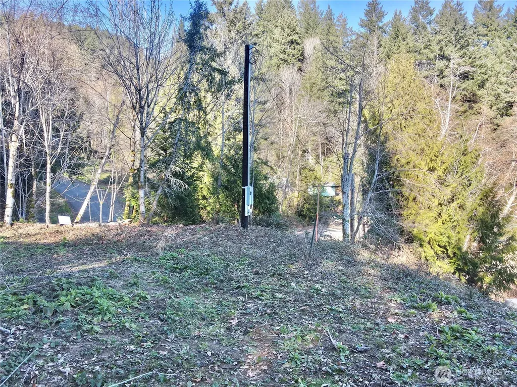 147 N Shar Lane Lilliwaup WA 98555