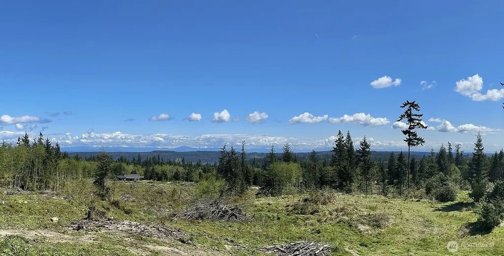 0 Woodland Lane Freeland WA 98249