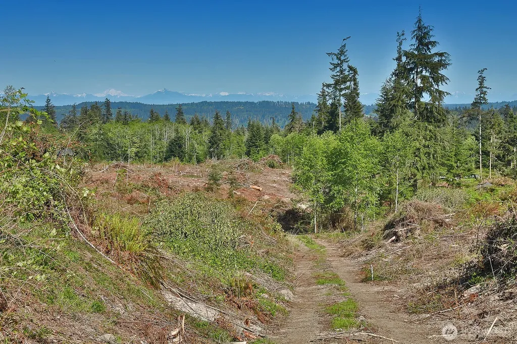 0 Woodland Lane Freeland WA 98249