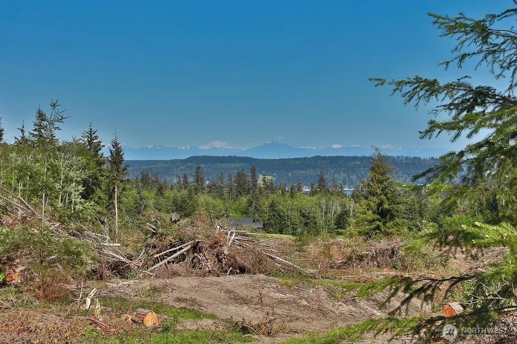0 Woodland Lane Freeland WA 98249