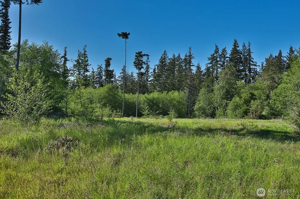 0 Woodland Lane Freeland WA 98249