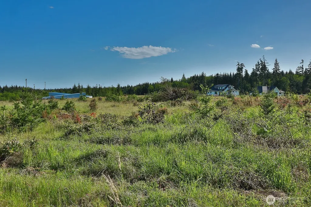 0 Woodland Lane Freeland WA 98249