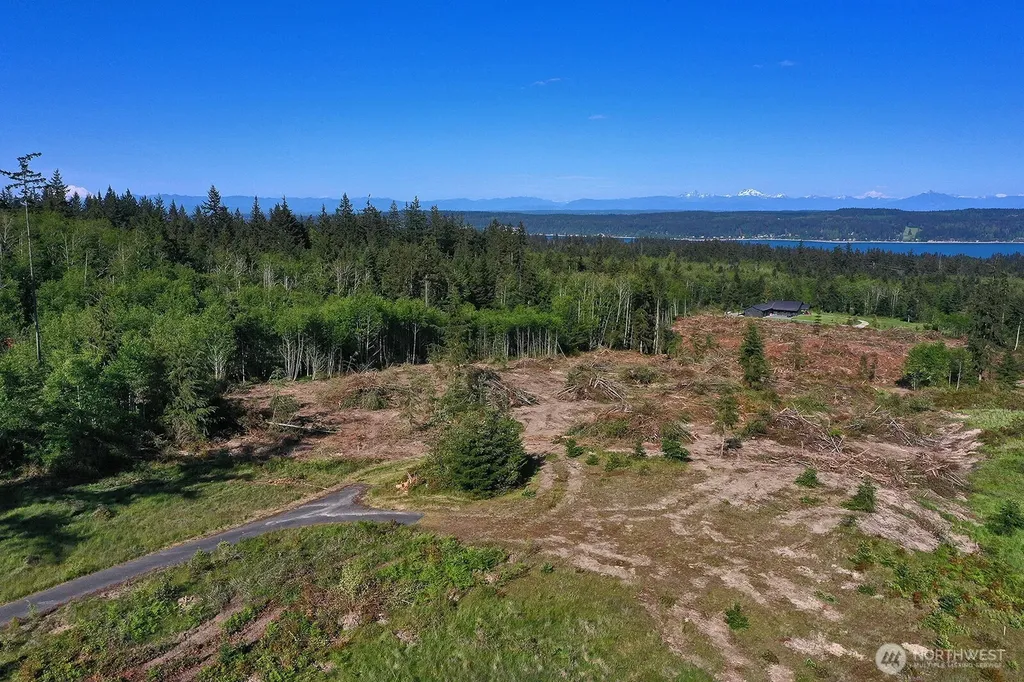0 Woodland Lane Freeland WA 98249