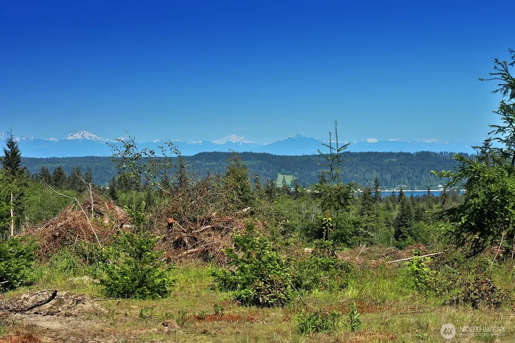 0 Woodland Lane Freeland WA 98249