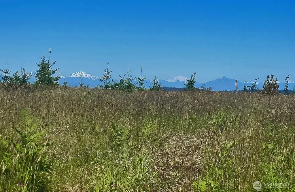 0 Woodland Lane Freeland WA 98249