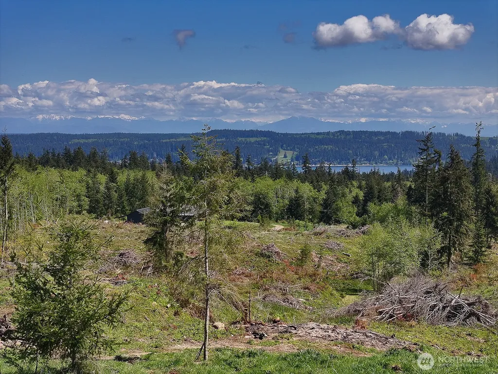 0 Woodland Lane Freeland WA 98249