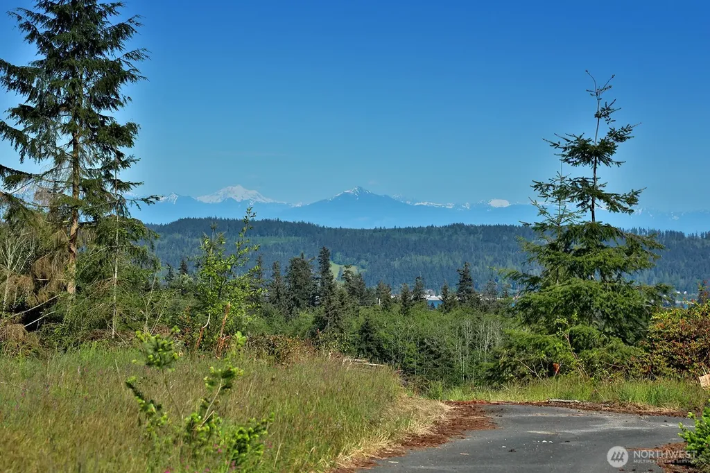 0 Woodland Lane Freeland WA 98249