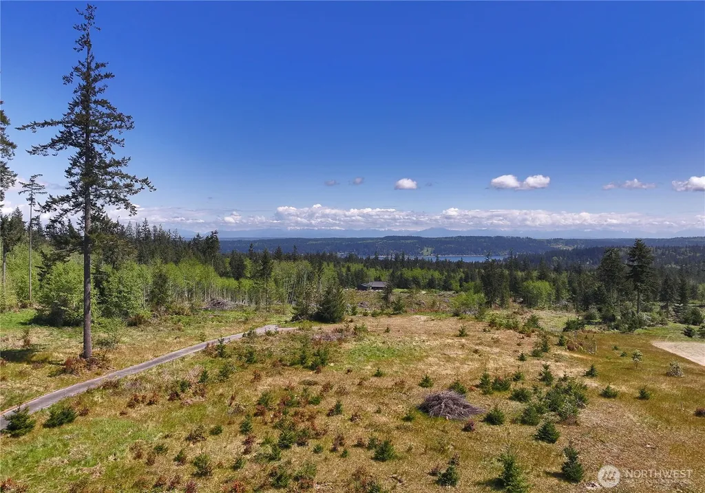 0 Woodland Lane Freeland WA 98249