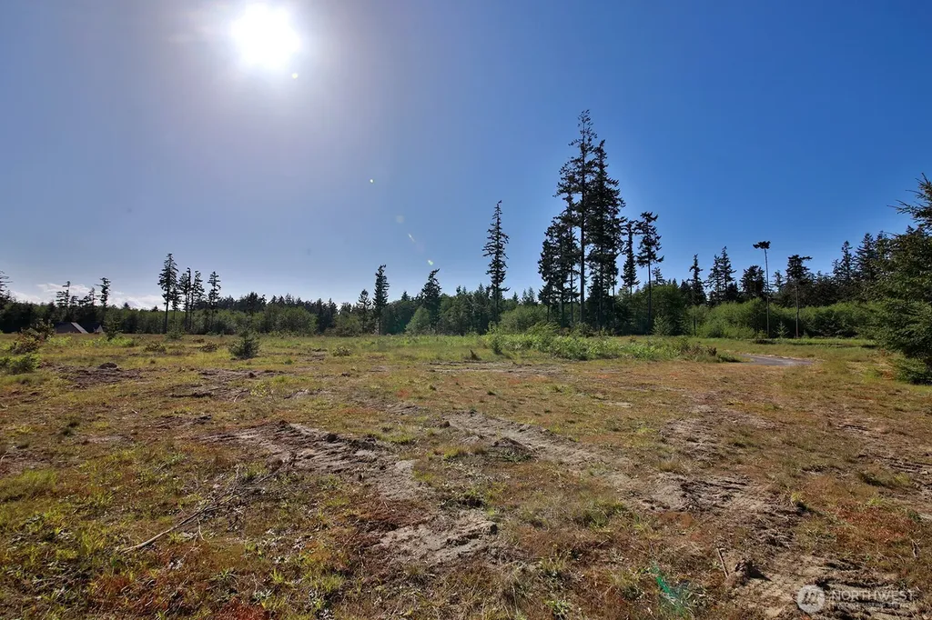 0 Woodland Lane Freeland WA 98249