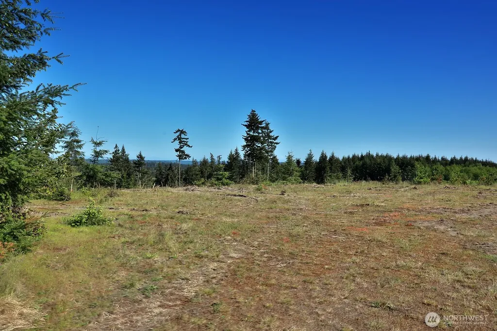 0 Woodland Lane Freeland WA 98249