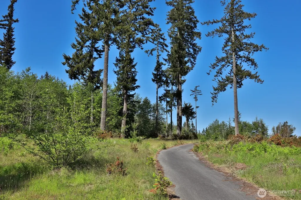 0 Woodland Lane Freeland WA 98249