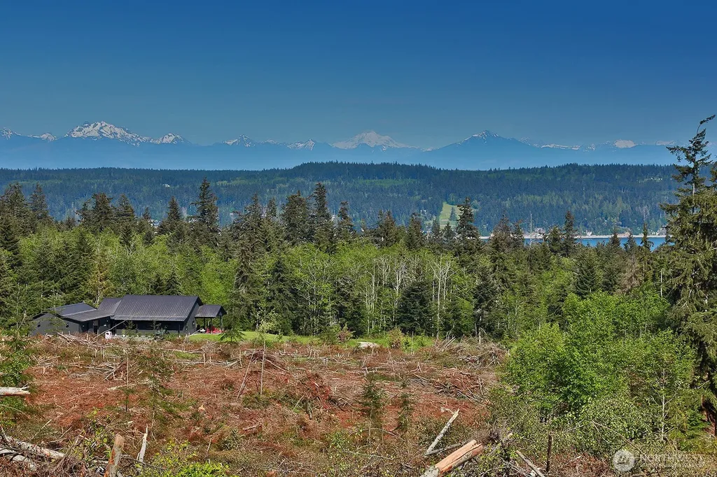 0 Woodland Lane Freeland WA 98249