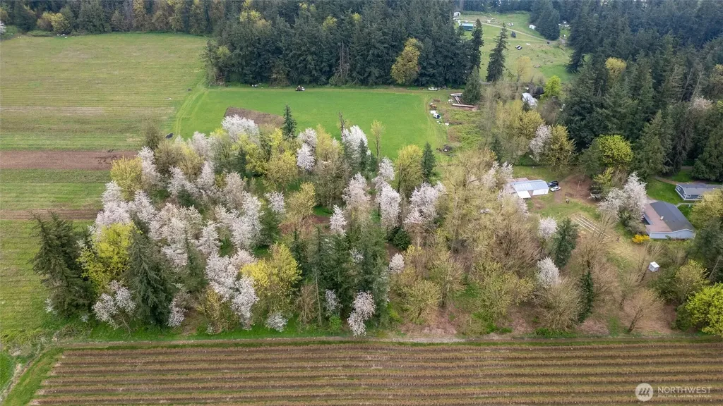 1822 E Pole Road Everson WA 98247