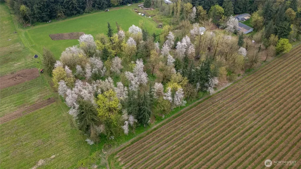 1822 E Pole Road Everson WA 98247