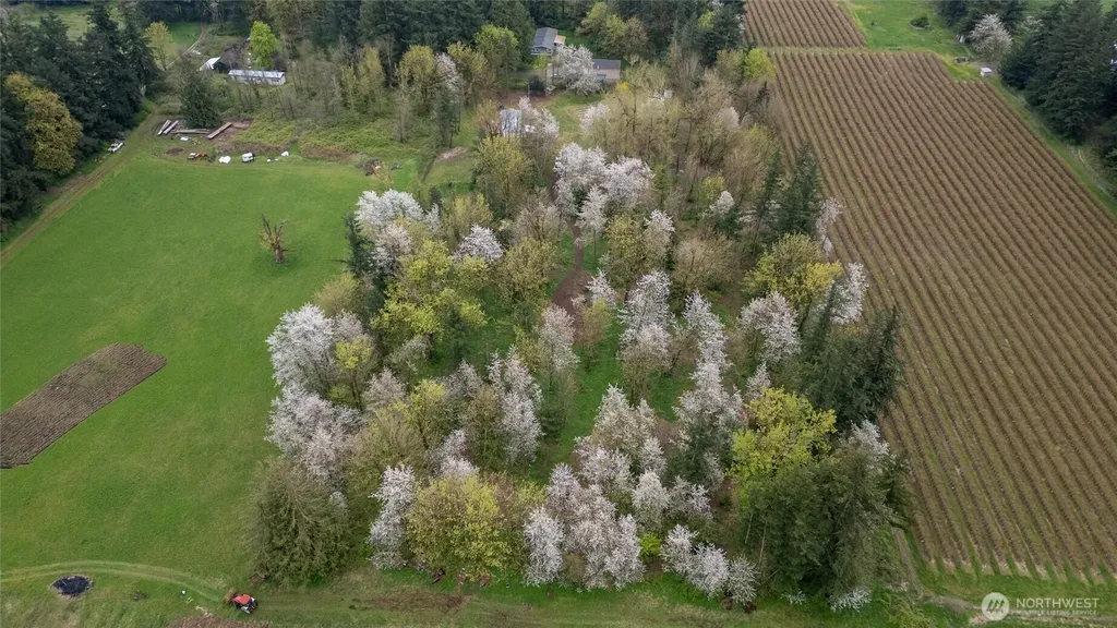 1822 E Pole Road Everson WA 98247