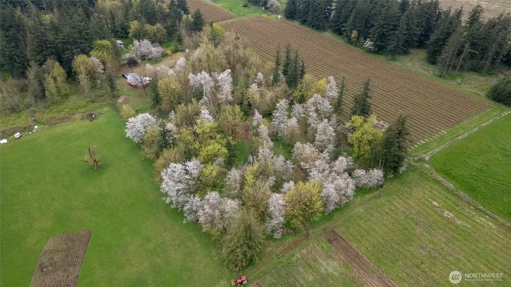 1822 E Pole Road Everson WA 98247