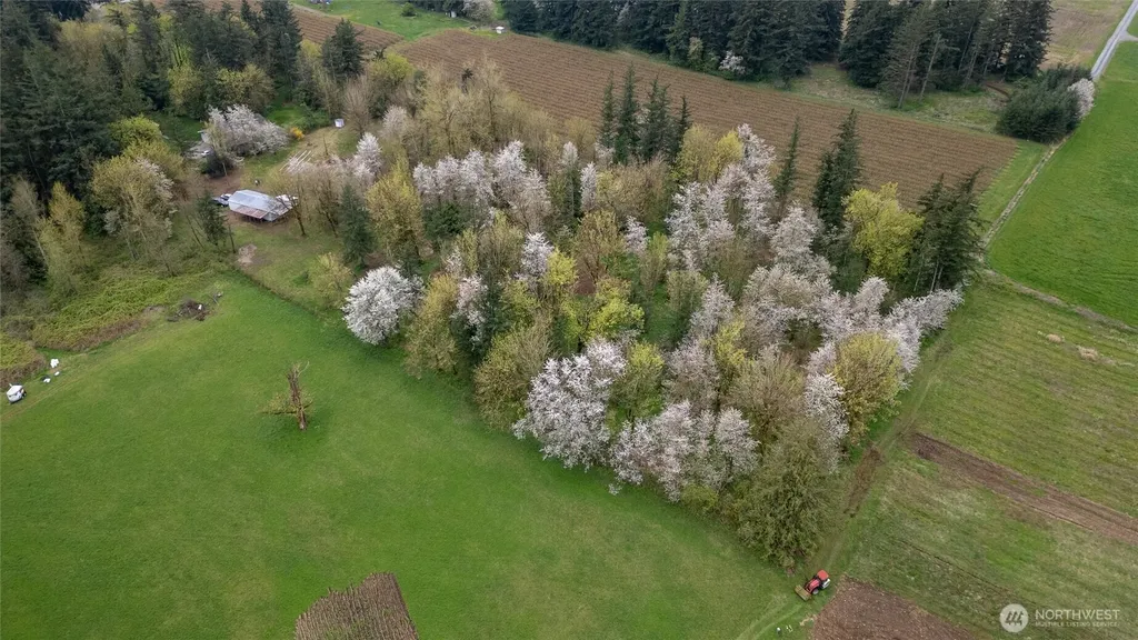 1822 E Pole Road Everson WA 98247