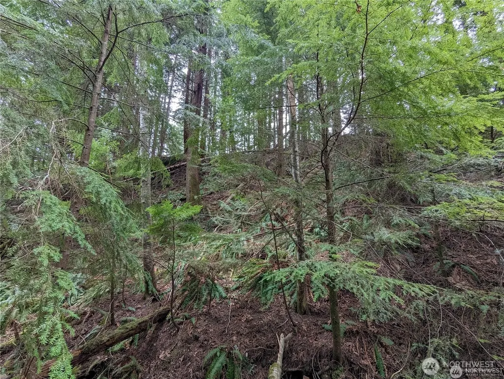 14 Black Bear Court Bellingham WA 98229