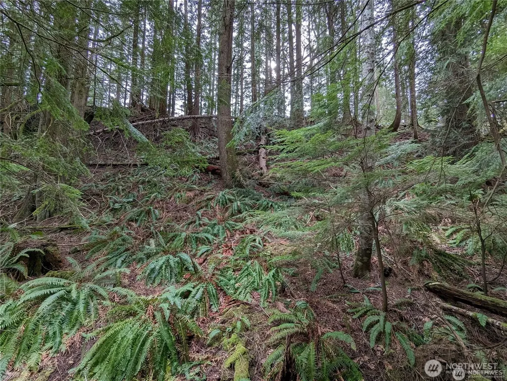 14 Black Bear Court Bellingham WA 98229