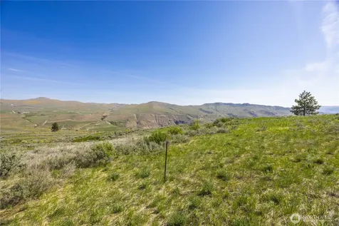 0 Goat Ridge Lot 7 - Highway 153 Pateros WA 98846