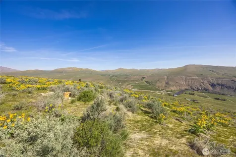 0 Goat Ridge Lot 7 - Highway 153 Pateros WA 98846