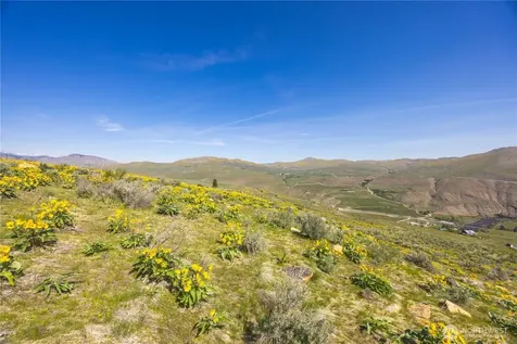 0 Goat Ridge Lot 7 - Highway 153 Pateros WA 98846