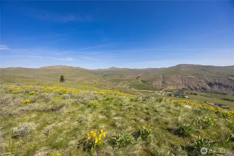 0 Goat Ridge Lot 7 - Highway 153 Pateros WA 98846