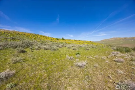 0 Goat Ridge Lot 5 - Highway 153 Pateros WA 98846