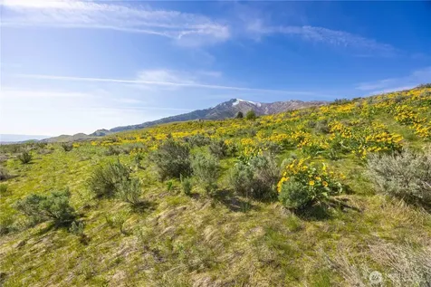 0 Goat Ridge Lot 5 - Highway 153 Pateros WA 98846