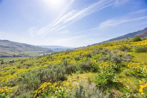 0 Goat Ridge Lot 5 - Highway 153 Pateros WA 98846