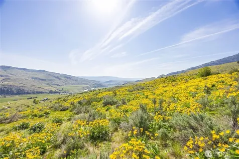 0 Goat Ridge Lot 5 - Highway 153 Pateros WA 98846
