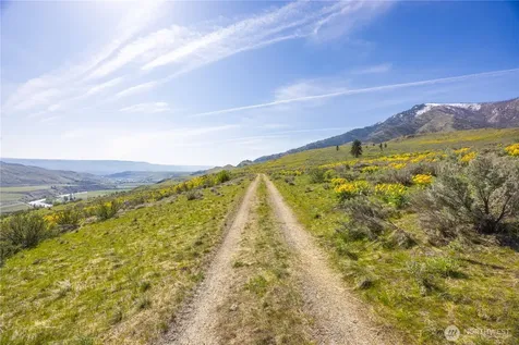 0 Goat Ridge Lot 5 - Highway 153 Pateros WA 98846