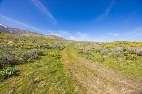 0 Goat Ridge Lot 5 - Highway 153 Pateros WA 98846