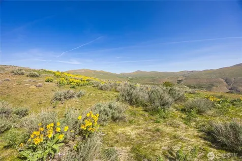 0 Goat Ridge Lot 5 - Highway 153 Pateros WA 98846