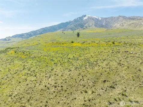 0 Goat Ridge Lot 5 - Highway 153 Pateros WA 98846