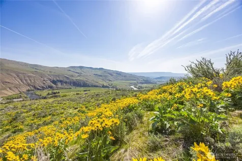 0 Goat Ridge Lot 5 - Highway 153 Pateros WA 98846