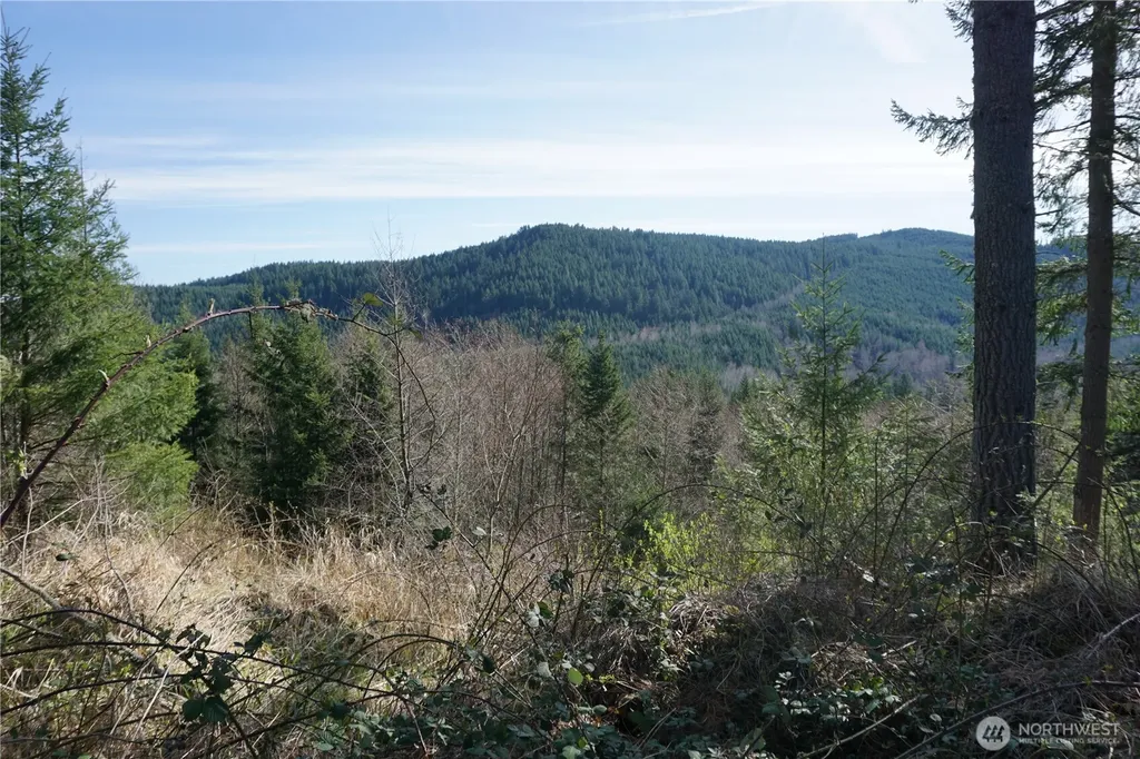 50215 146th Avenue E Eatonville WA 98328