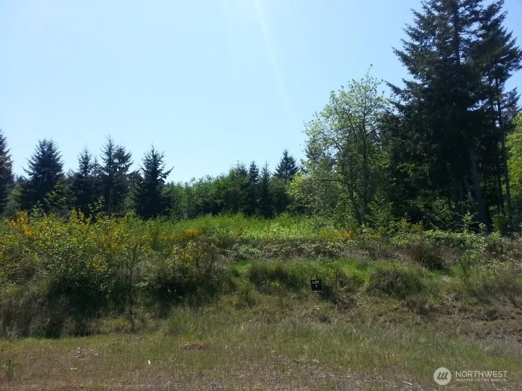8510 112th Avenue Anderson Island WA 98303